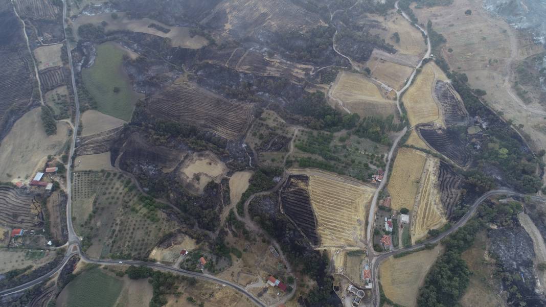 Çanakkale'deki orman yangını 39 saattir sürüyor 3